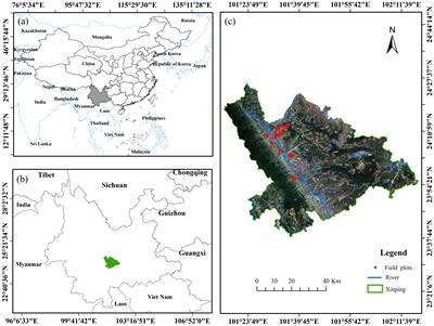 Unlocking vegetation health: optimizing GEDI data for accurate chlorophyll content estimation